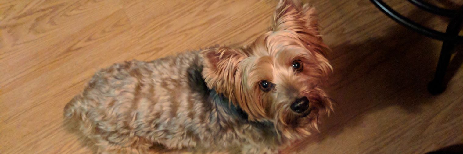 dale_jerry's profile banner image