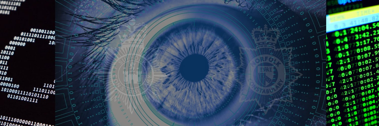 NS Cyber Crime Unit banner