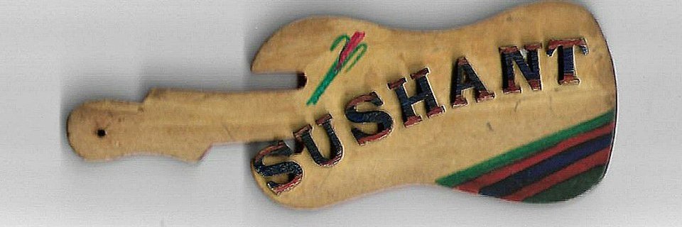susant009's profile banner image