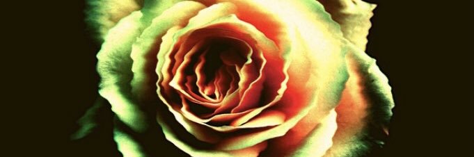 TompkinZ_'s profile banner image