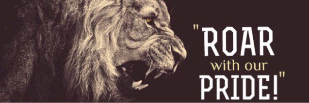 Lion'sDenFútbolClub banner