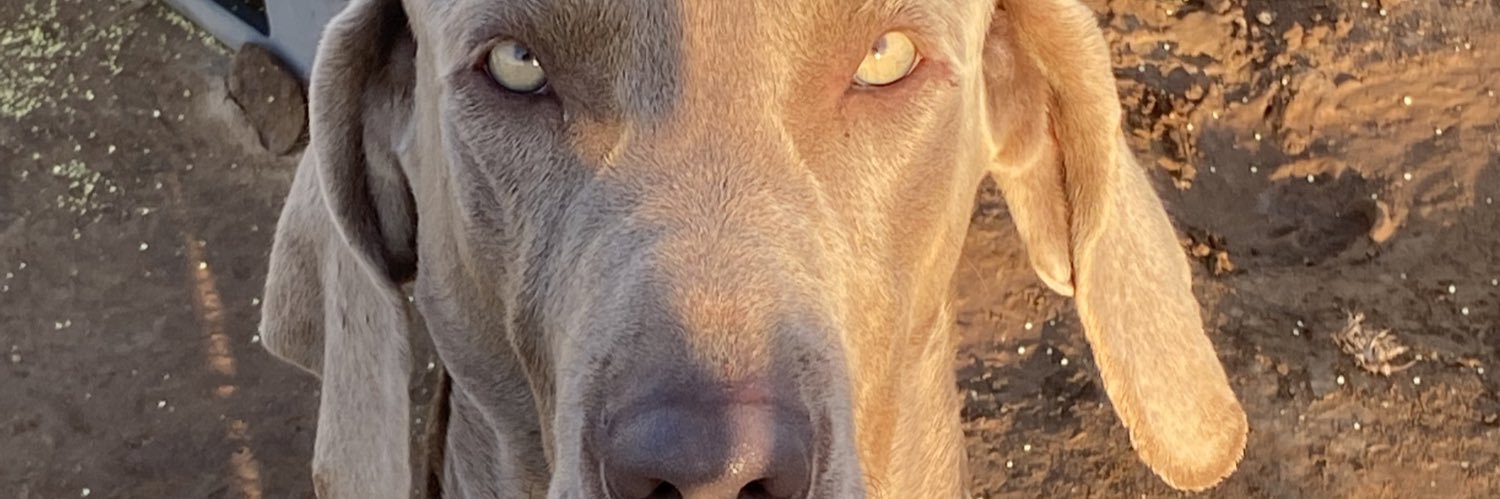 lopez1924's profile banner image