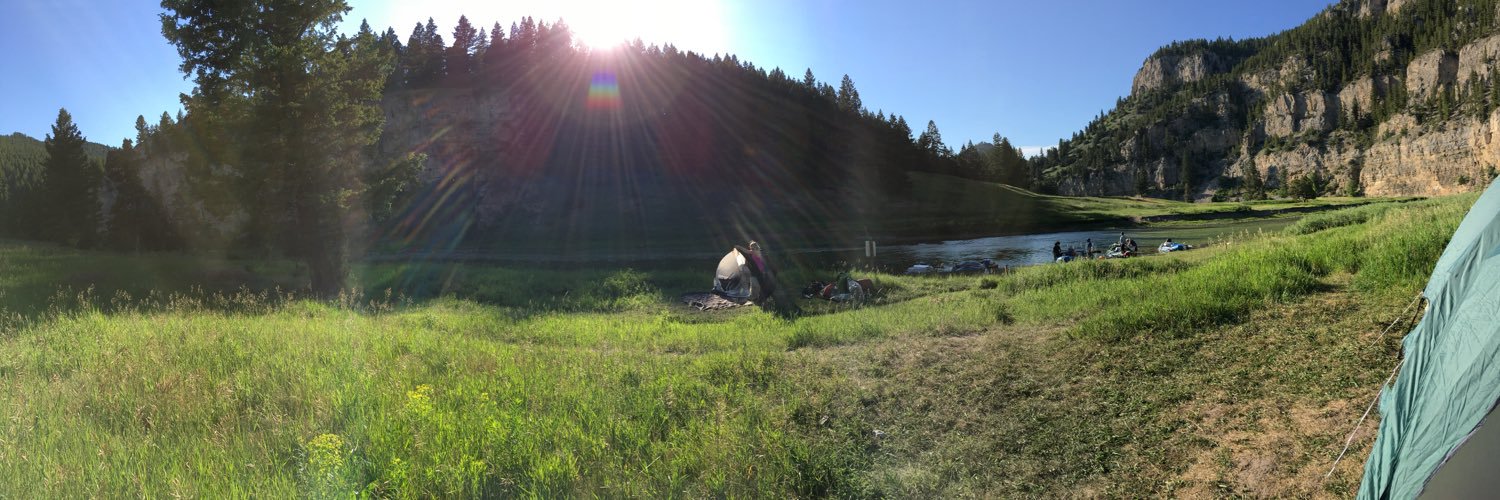 Celeste Brown banner