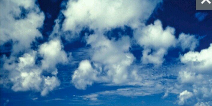 NDieckman's profile banner image