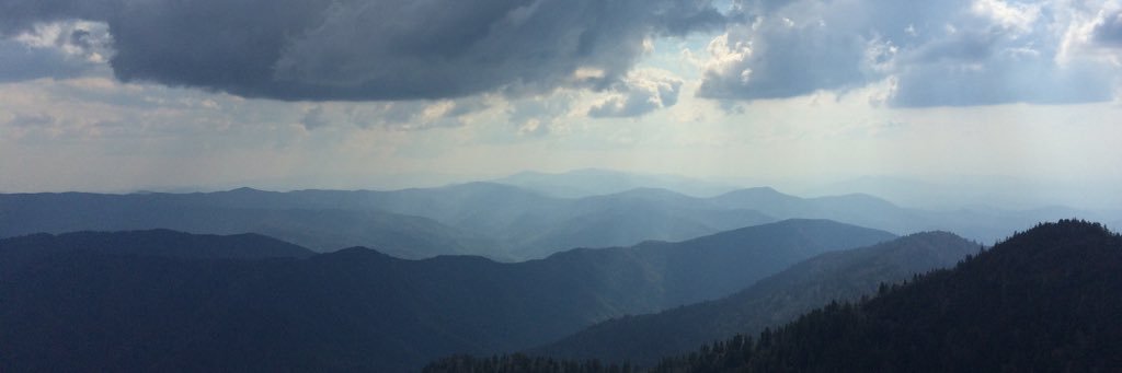 MalloyPhillps's profile banner image