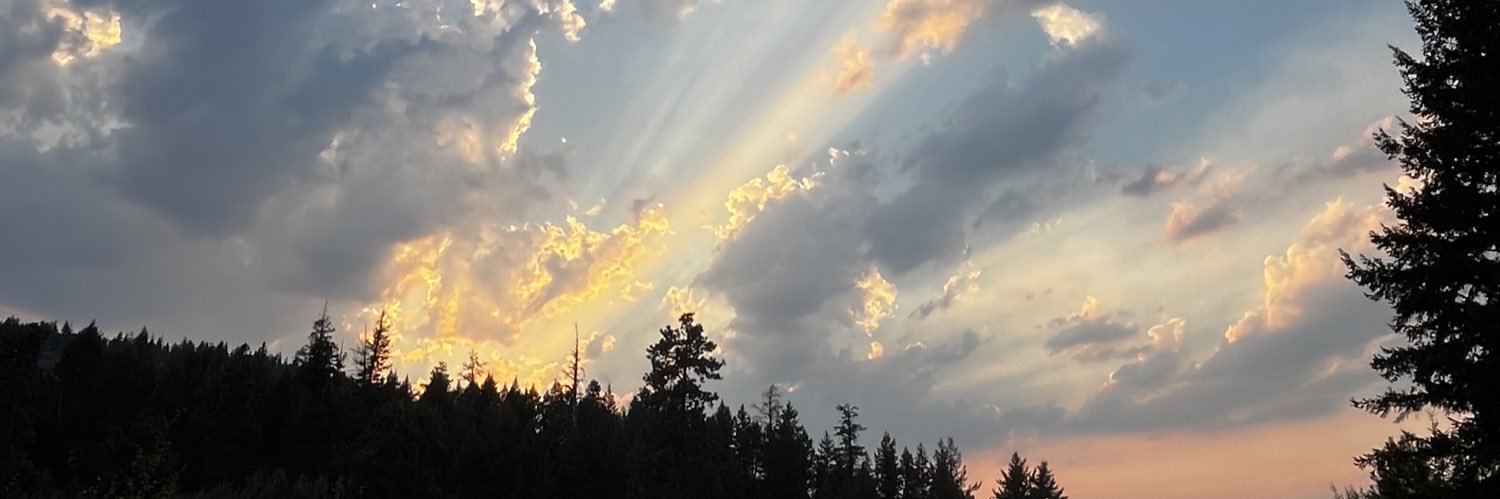 SamLung's profile banner image