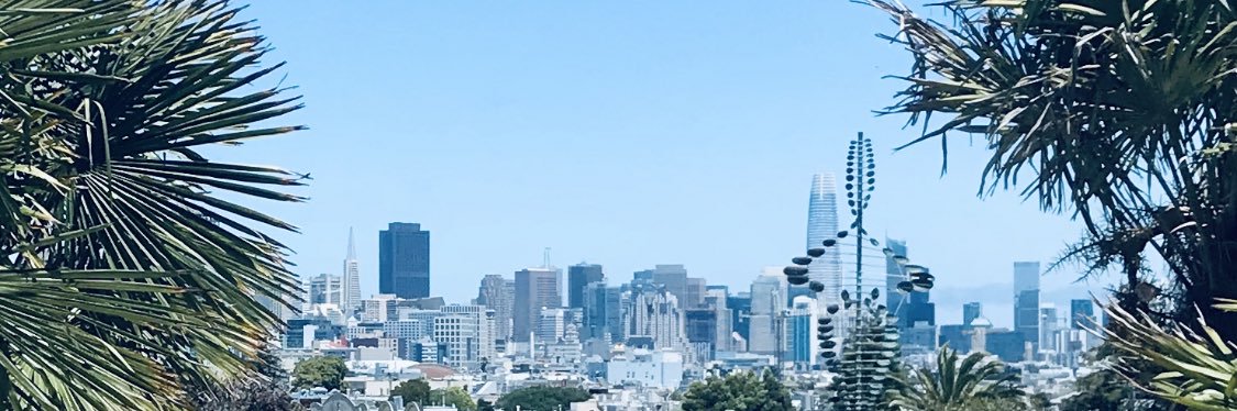 Masellimyguy's profile banner image