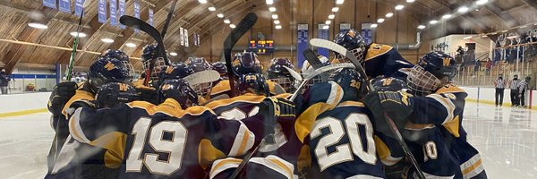 Wayzata Boys Hockey Profile Banner