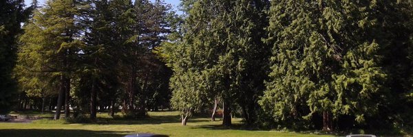 morotyongo's profile banner image