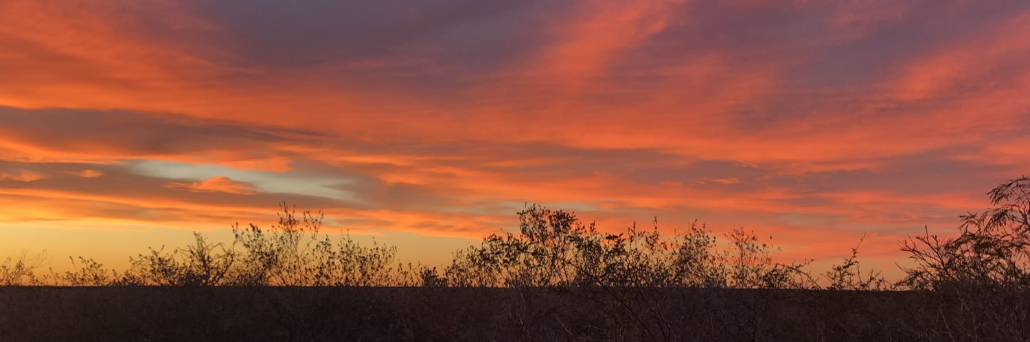 Mad☀️🌵 banner