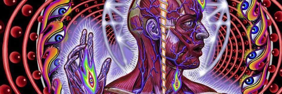 MaximumDeckard's profile banner image