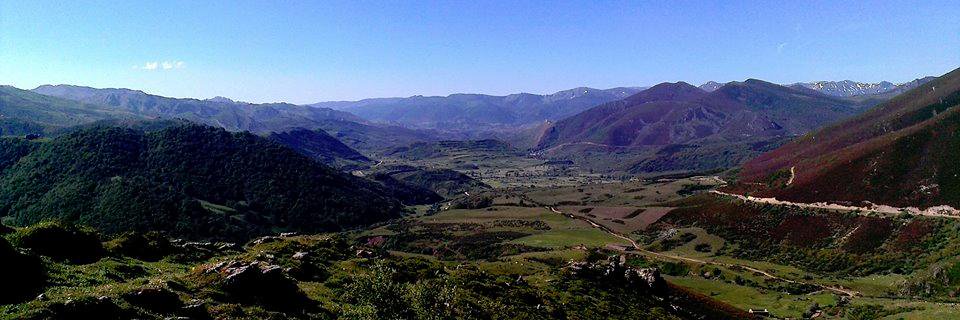 Steven Rogers banner