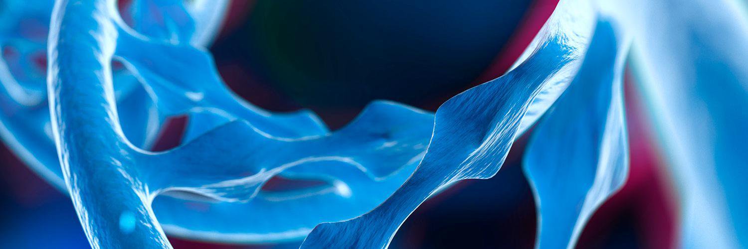 CSCPouta's profile banner image