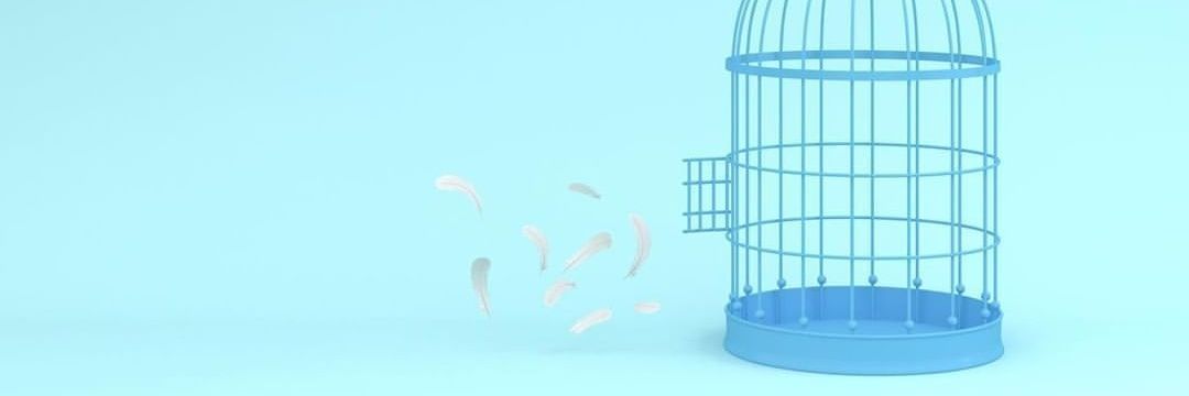 moregabriel_'s profile banner image