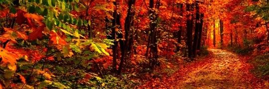 isaiah_millis's profile banner image