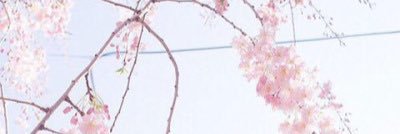 HanateWaChicken's profile banner image