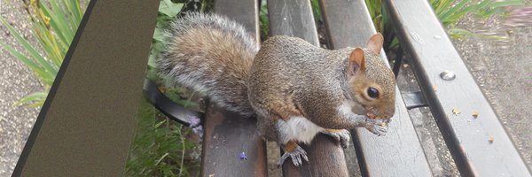 JuliaScott01 Profile Banner