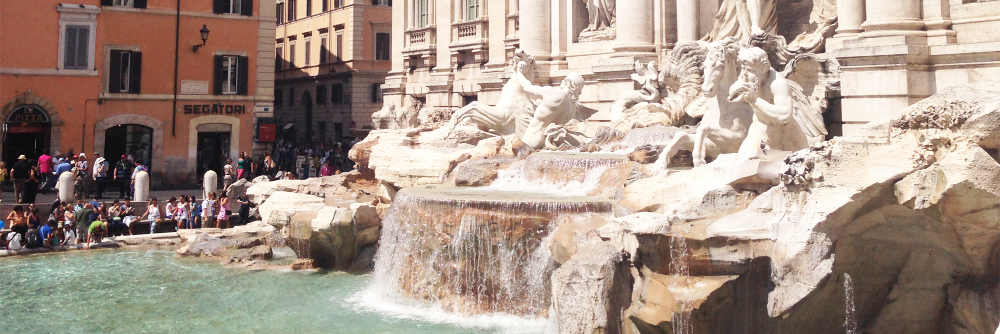 🌸 banner
