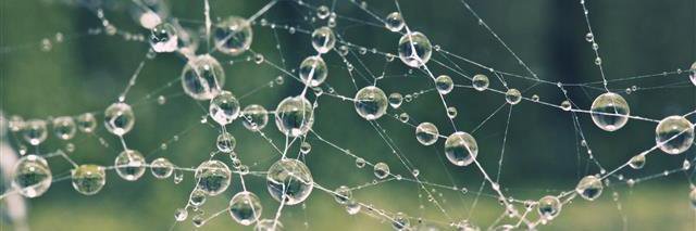 julia_cozzi's profile banner image
