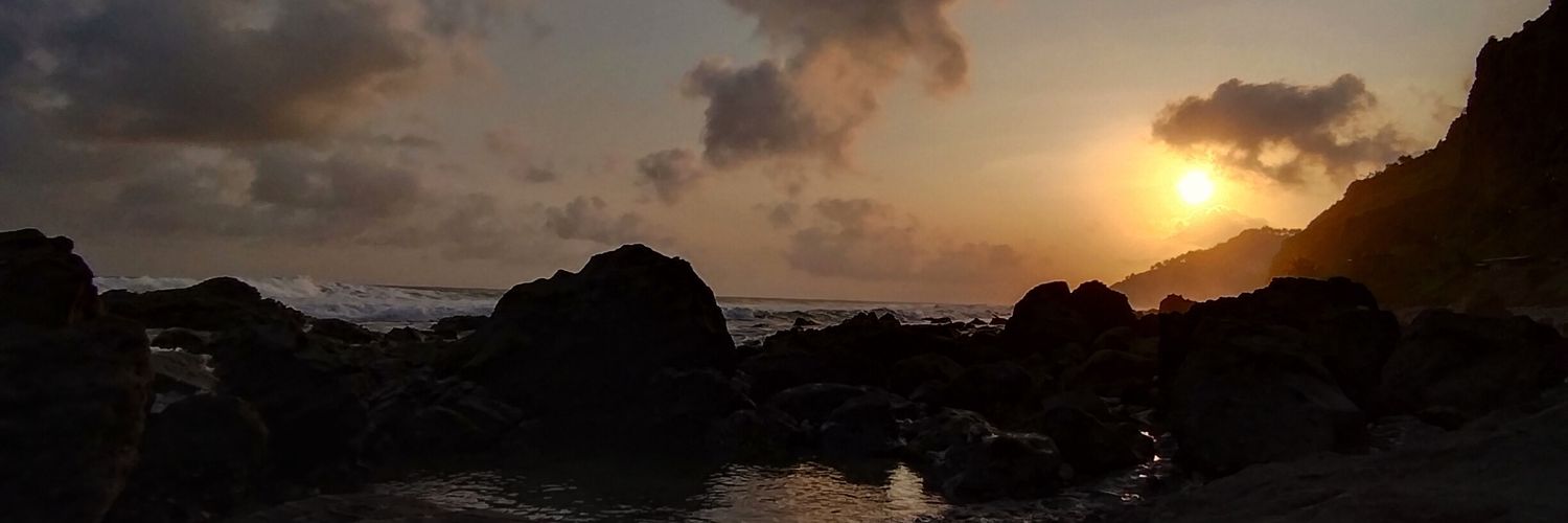 hartinully's profile banner image