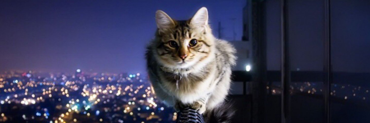 kabtshenh's profile banner image