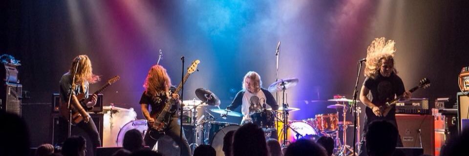 bushwhackerband's profile banner image