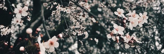 JudithRort's profile banner image