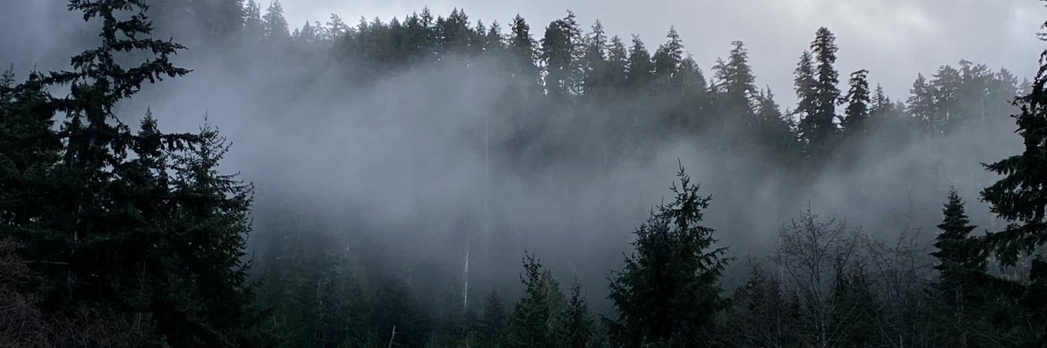 ashley_groebner's profile banner image