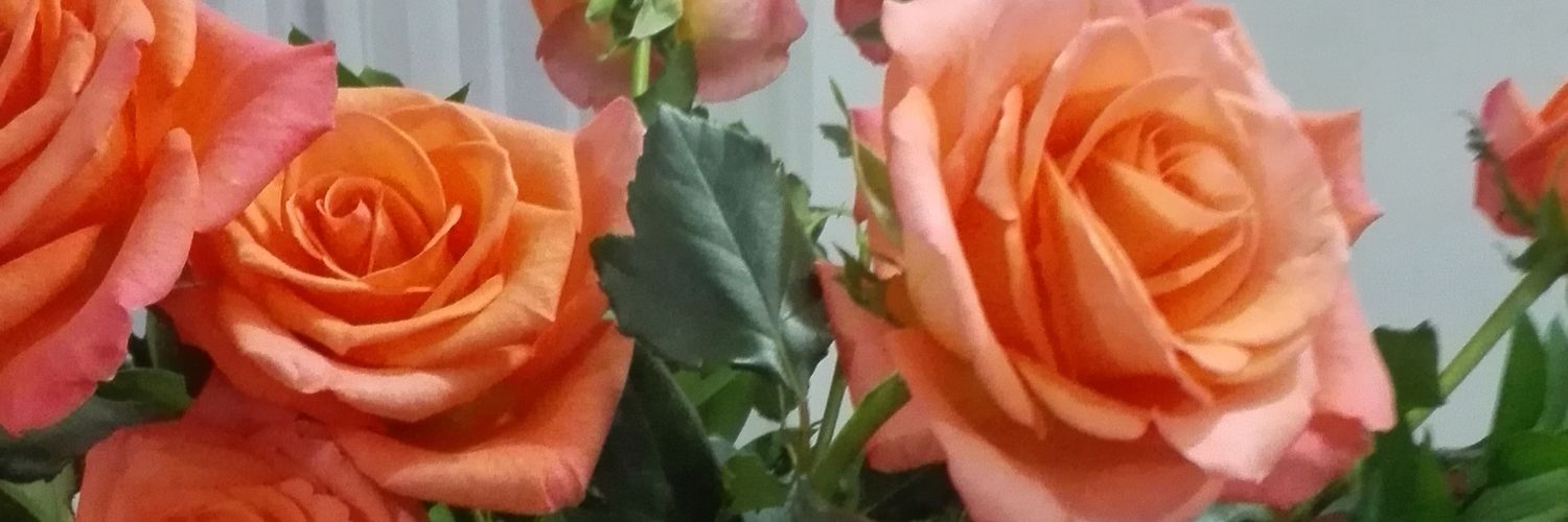 helenaleons's profile banner image