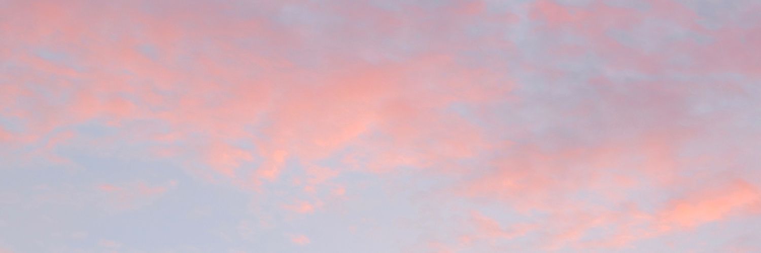 voltginkgo's profile banner image