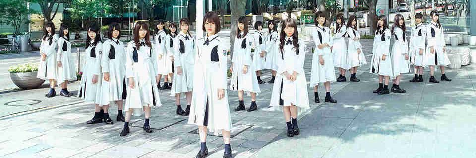 shimaenaga007's profile banner image