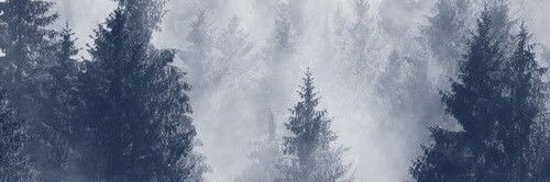 TaymuseP's profile banner image