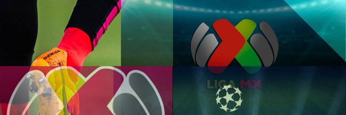 zzibidice's profile banner image