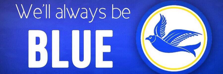 Nick B banner