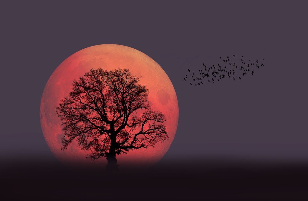 AdriAV98's profile banner image