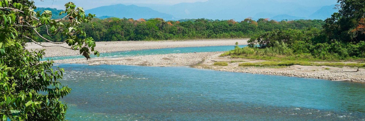 Erica Barbosa banner