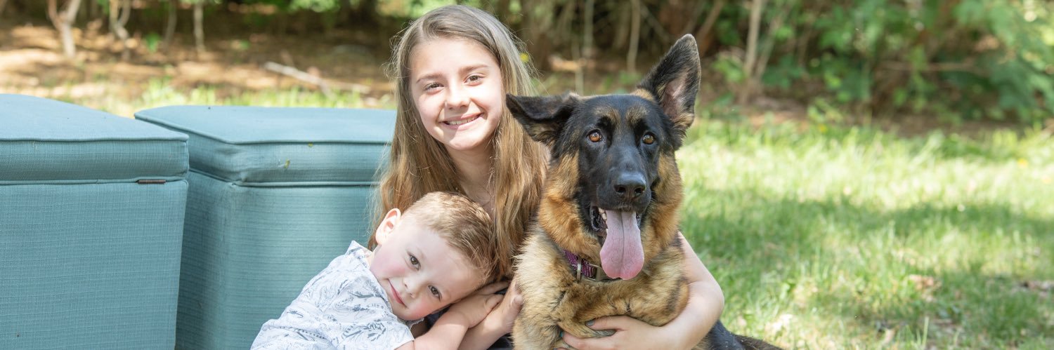 ShellieFields's profile banner image