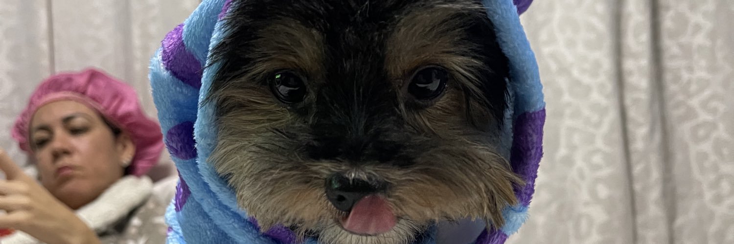 kamylasantosss's profile banner image