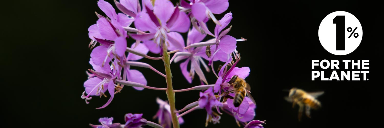 Association Confidences d'Abeilles banner