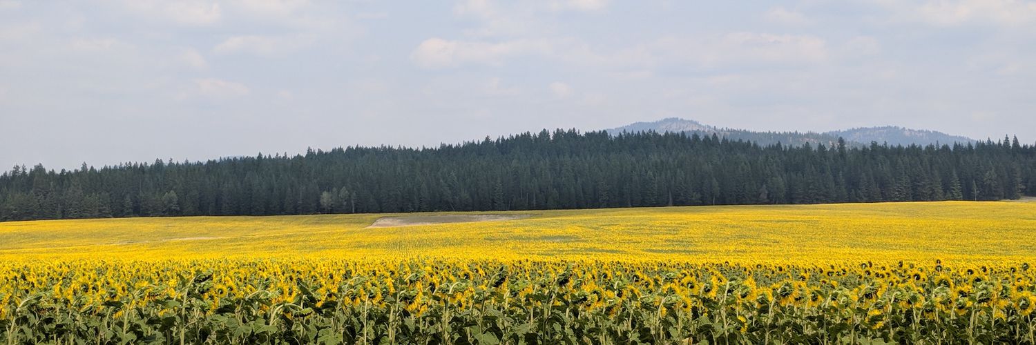NotDanHanzus's profile banner image