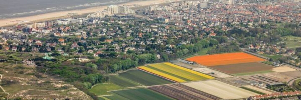 Jan Maarten de Raad banner