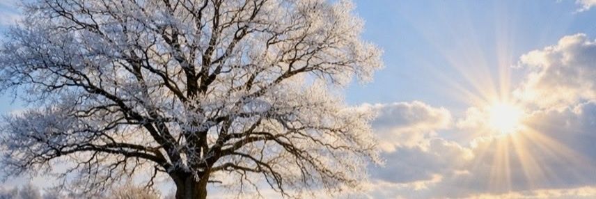 amotsom_7's profile banner image