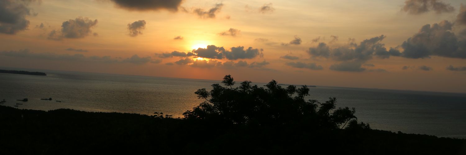 Melati_IML's profile banner image