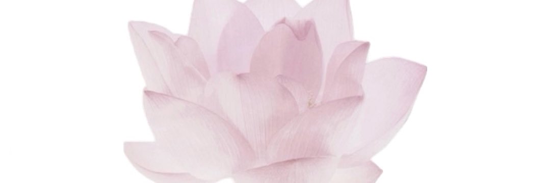baebaediana's profile banner image