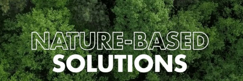 naturebasedsol's profile banner image
