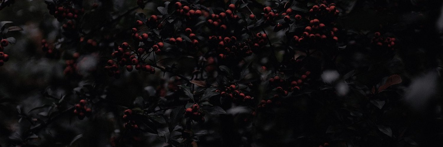 _hunbaek_'s profile banner image