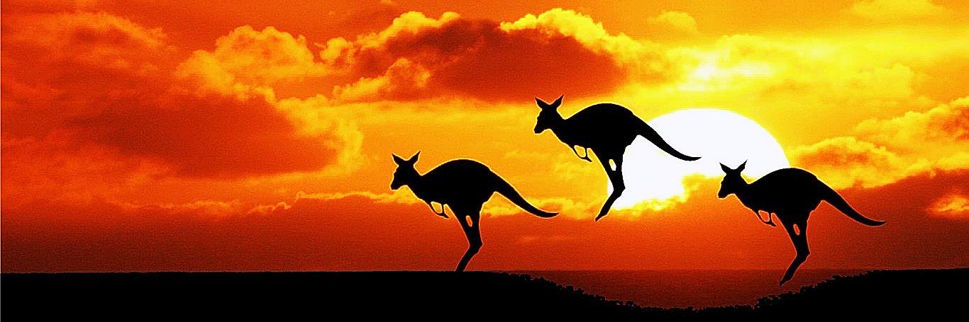 Aussie Photographers banner