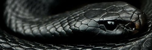_ekselanslari's profile banner image