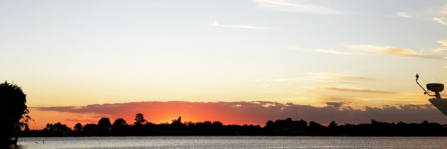 flaviaconde's profile banner image