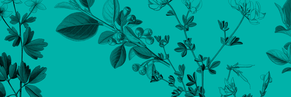 eeelexa's profile banner image